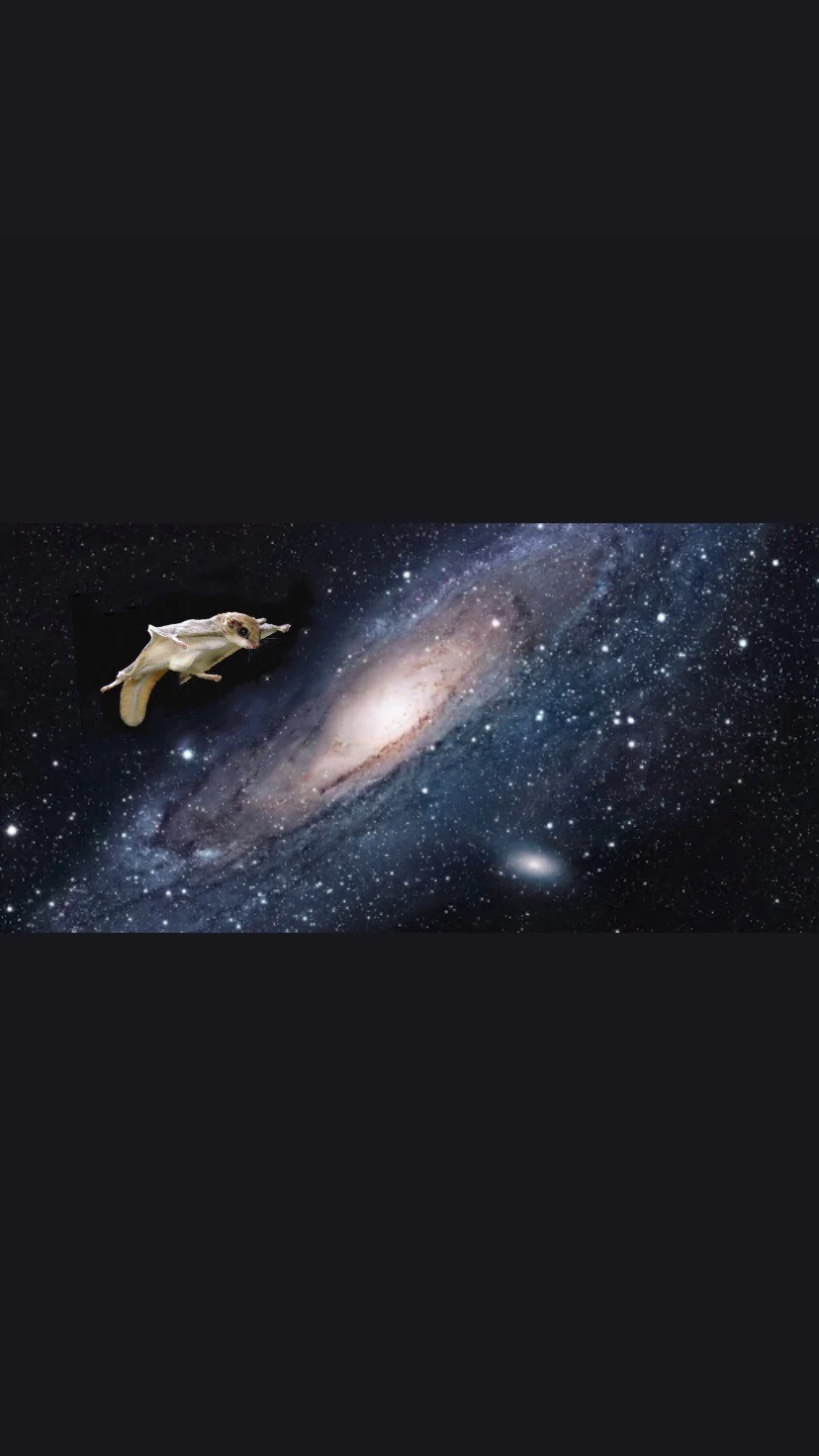 Card image 1