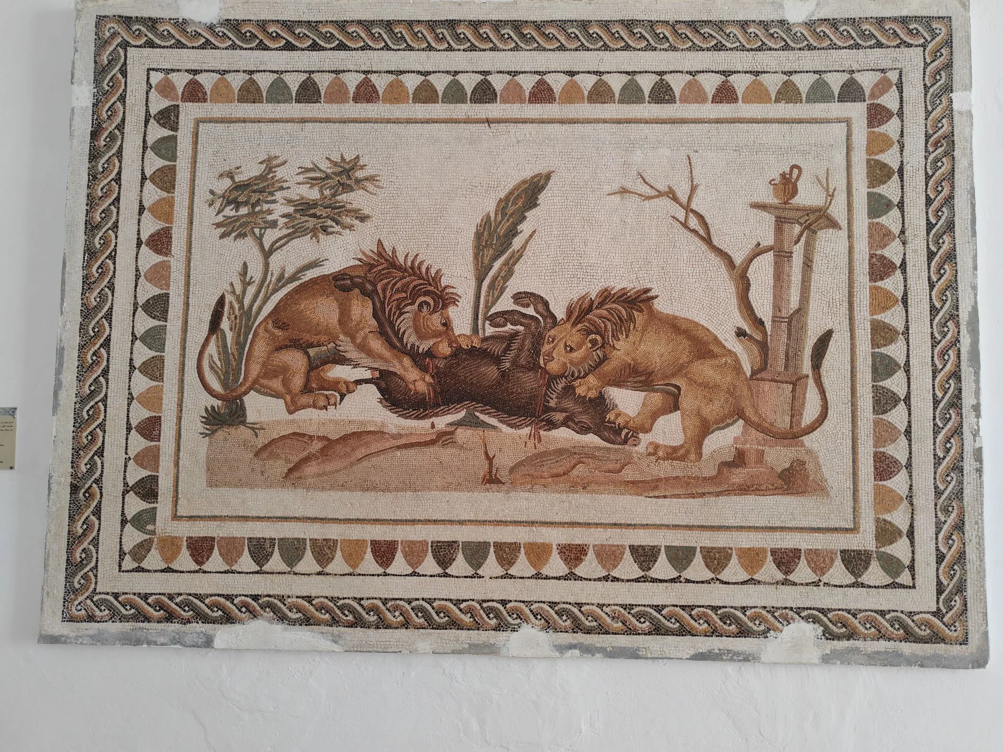 Card image 1