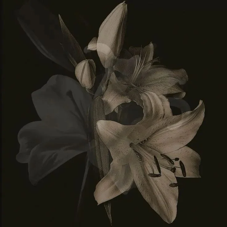 Card image 1