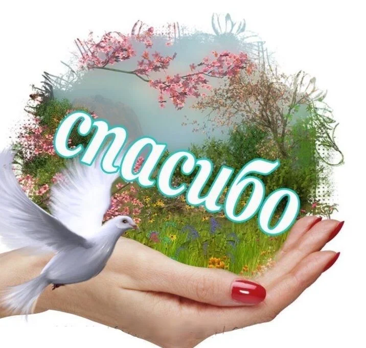 Card image 1