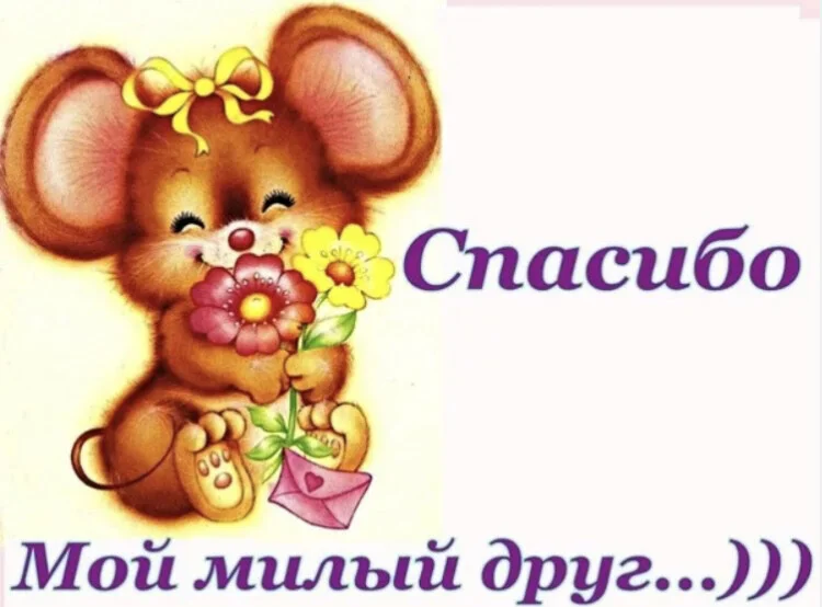 Card image 2