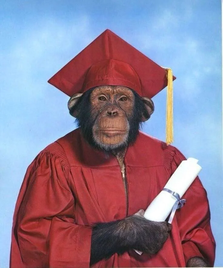 Card image 1