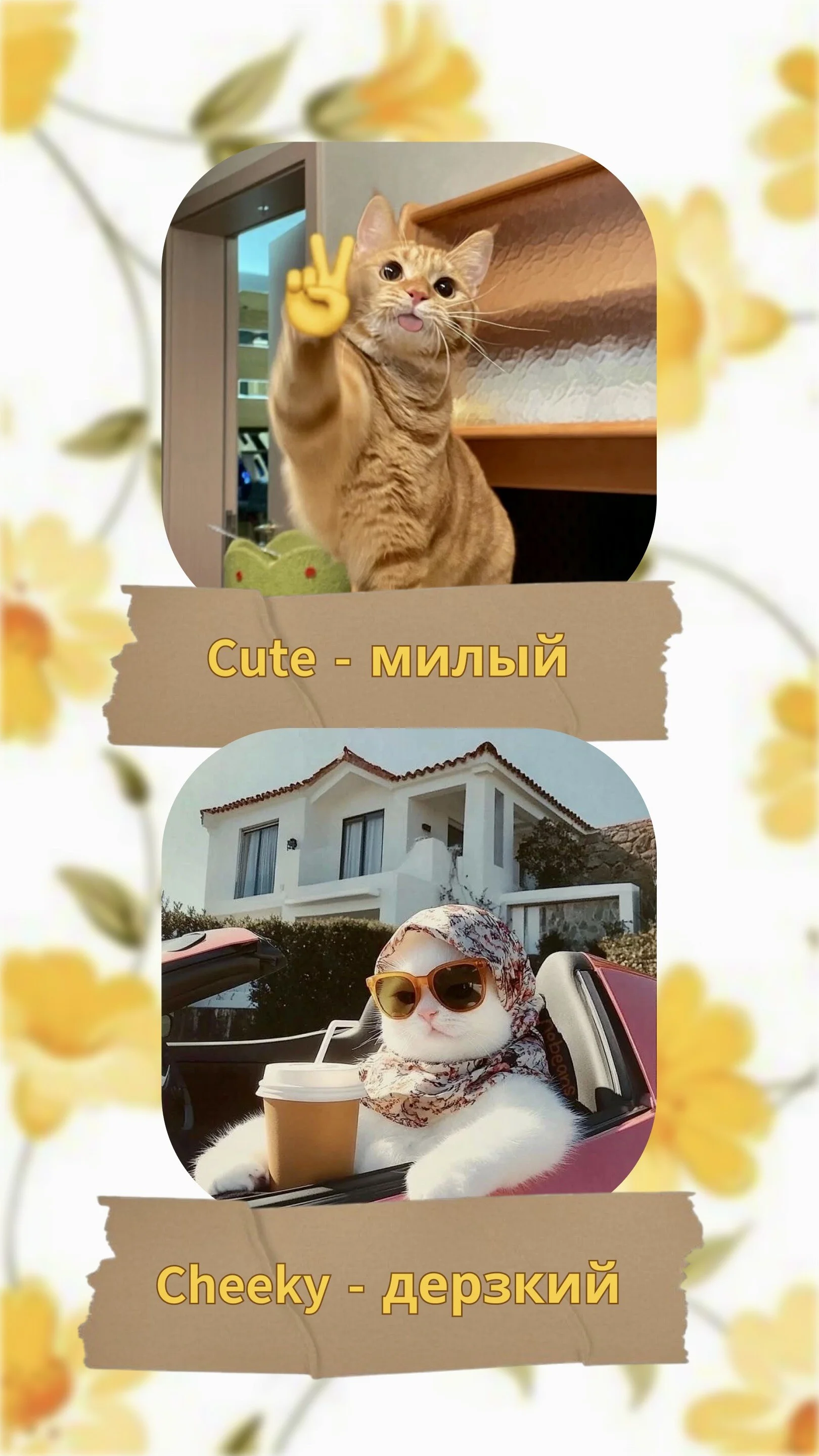 Card image 2