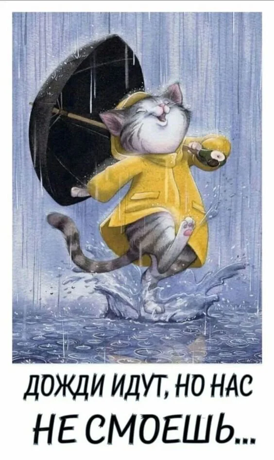 Card image 1