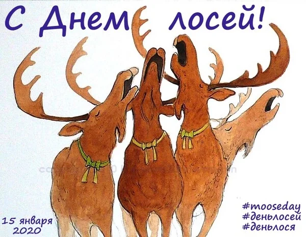 Card image 1