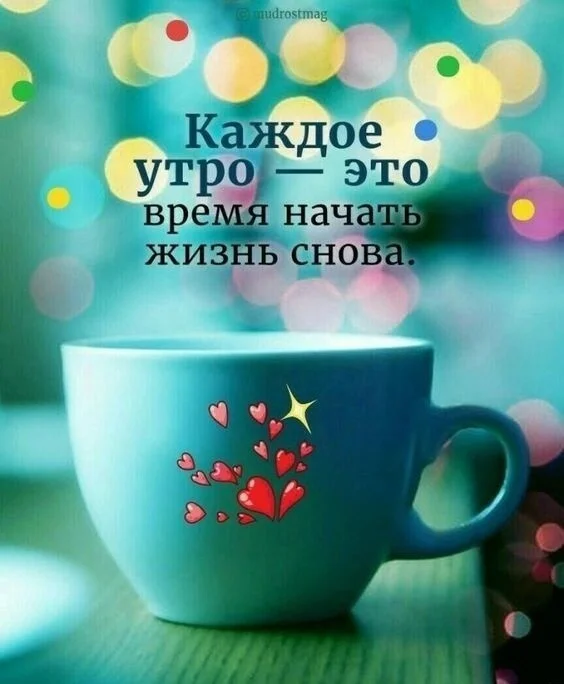 Card image 1