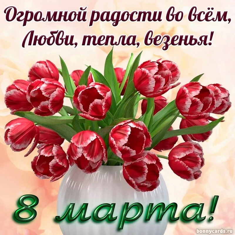 Card image 1
