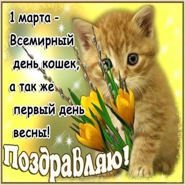 Card image 1