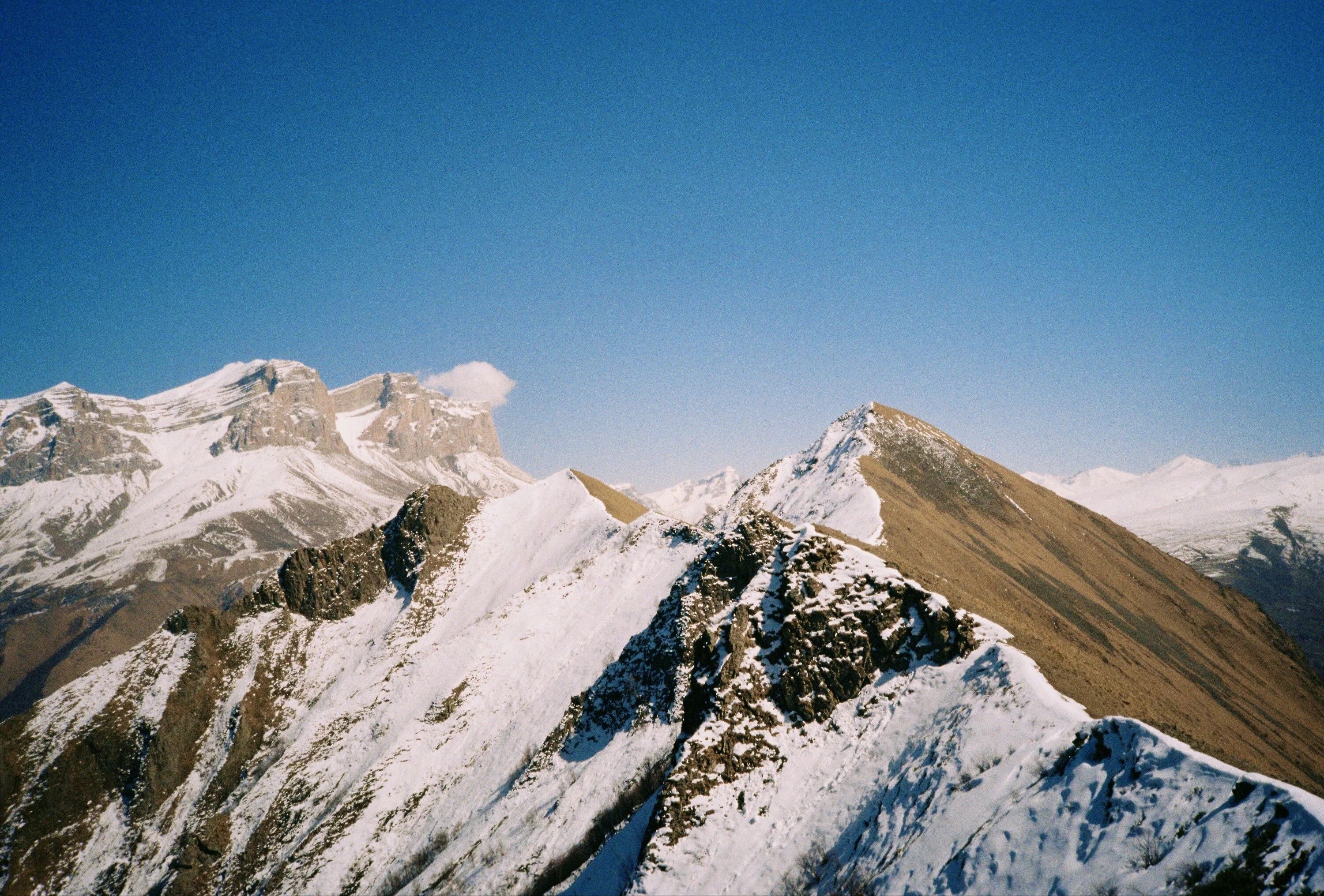 Card image 2