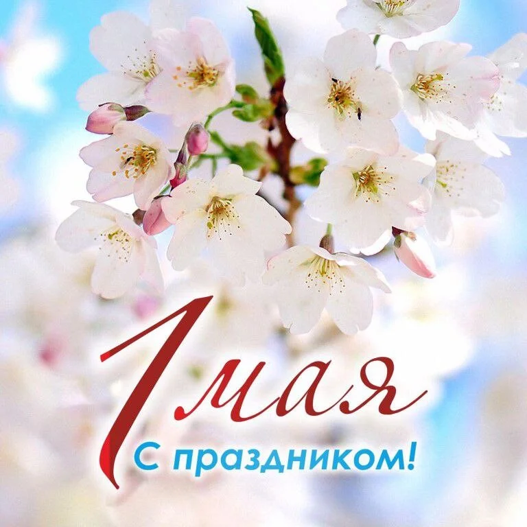 Card image 1
