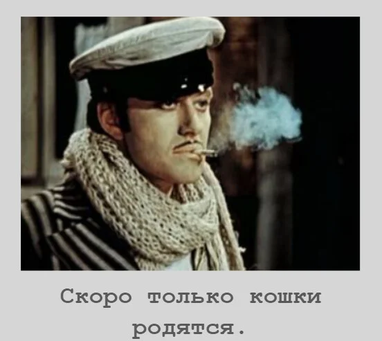 Card image 3