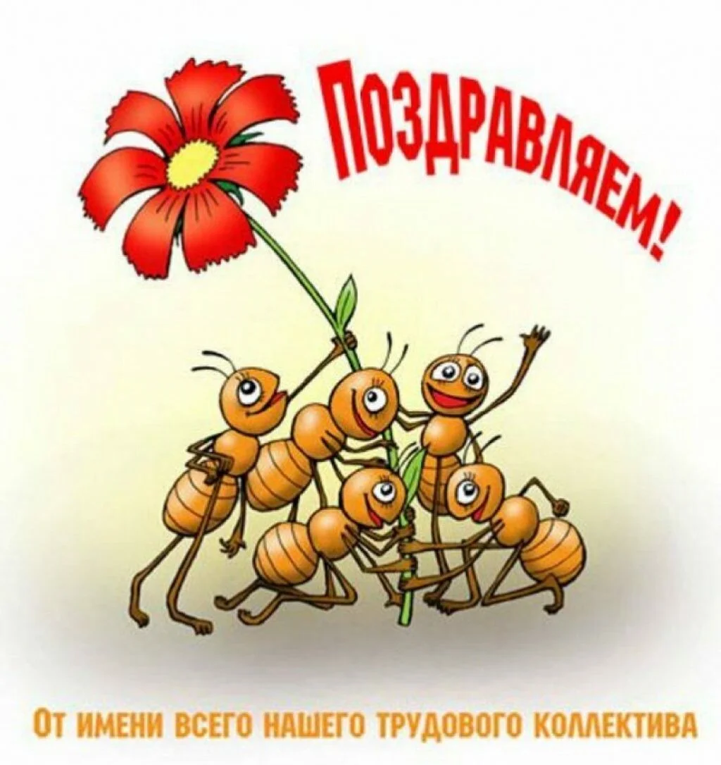 Card image 1