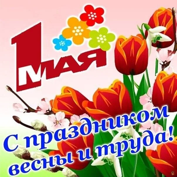 Card image 1