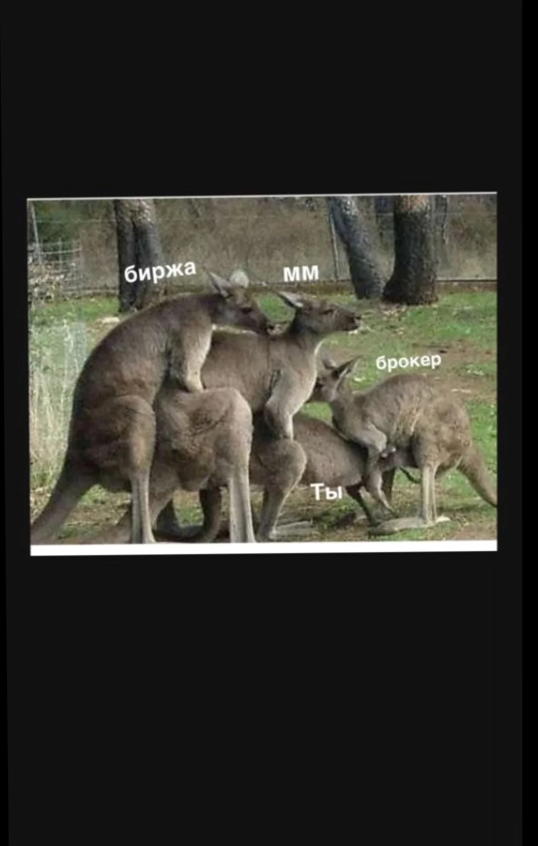Card image 1
