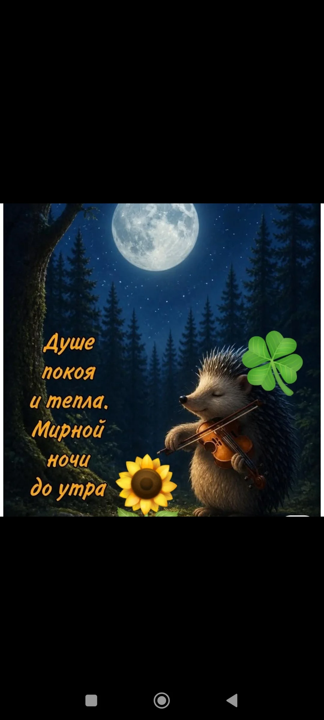 Card image 3