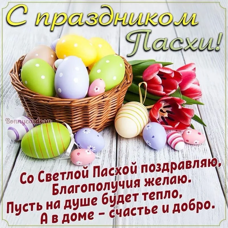Card image 1