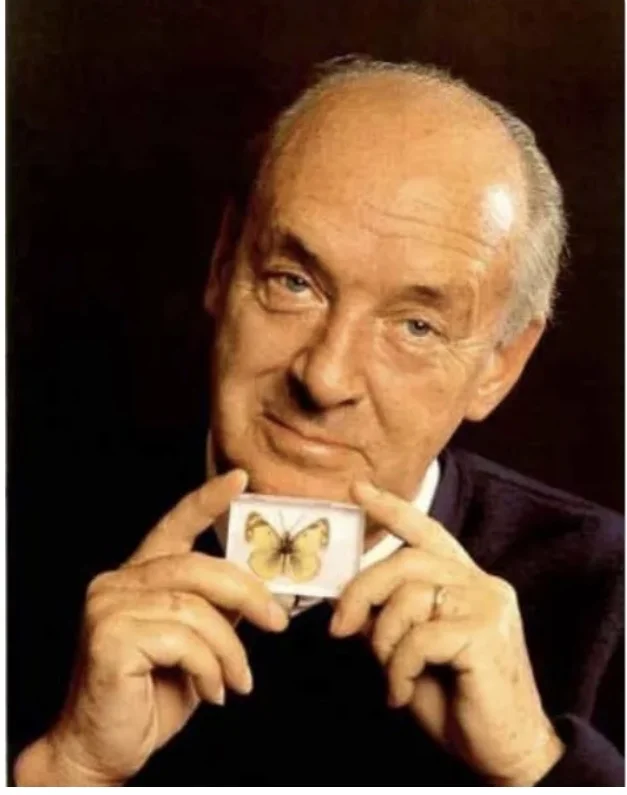 Card image 3