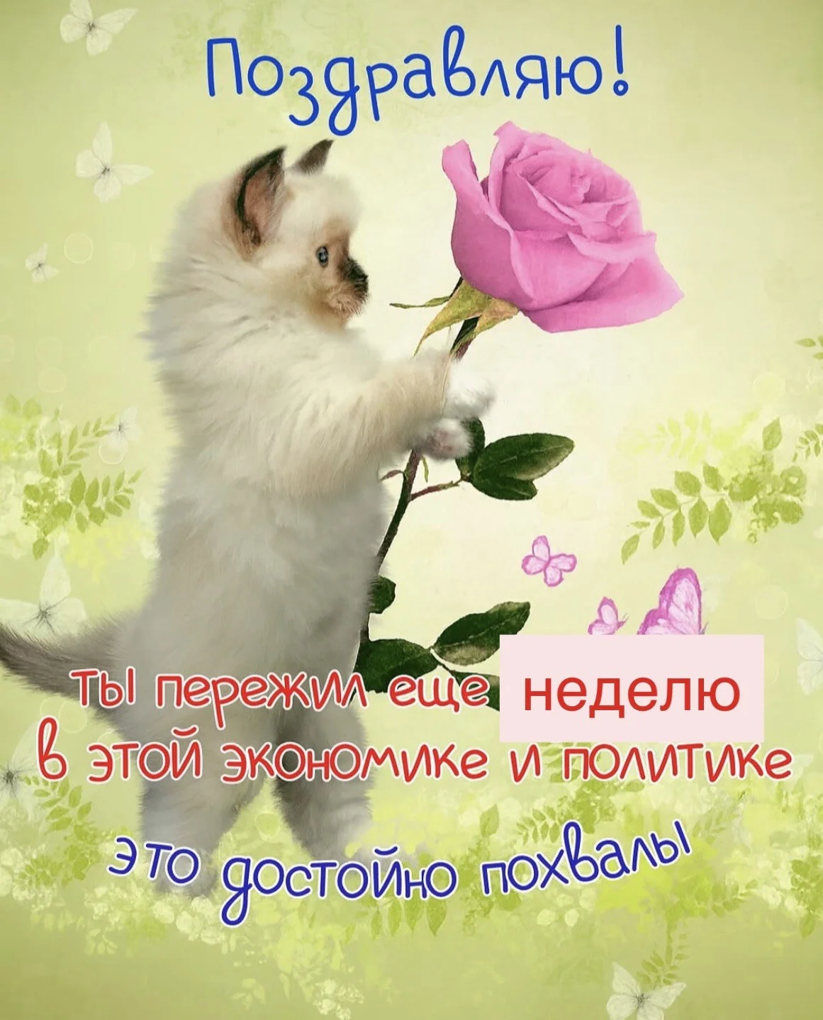 Card image 1