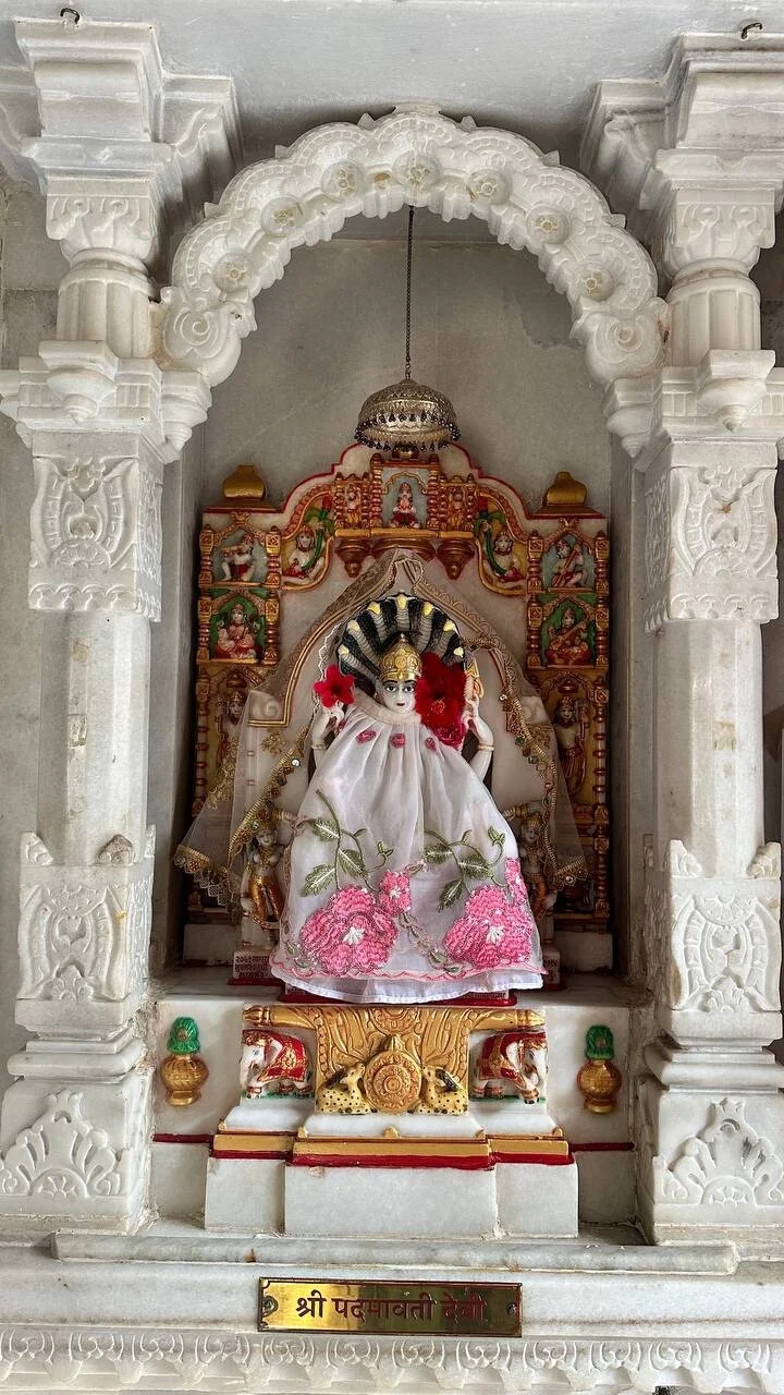 Card image 3