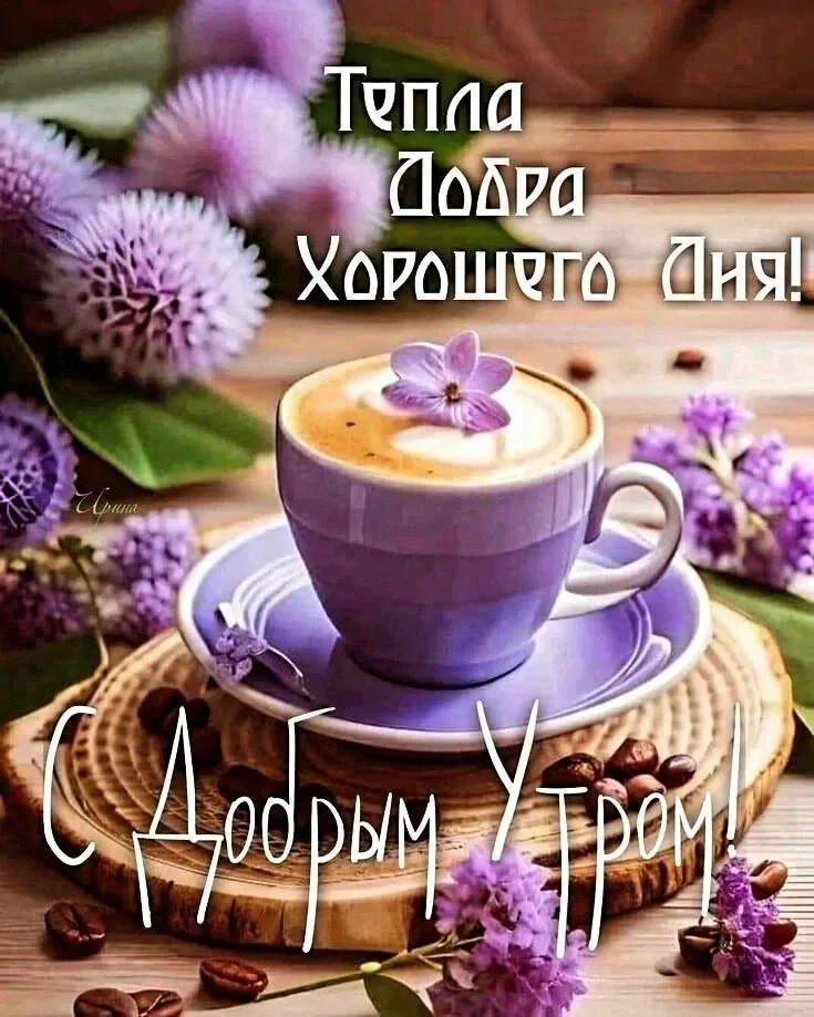 Card image 1