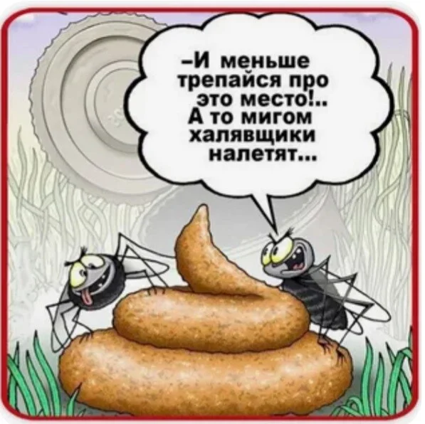 Card image 1