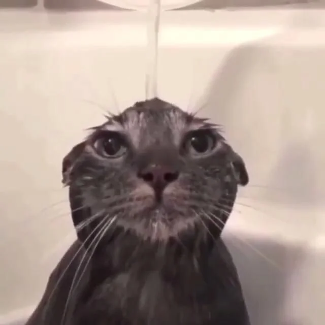 Card image 2