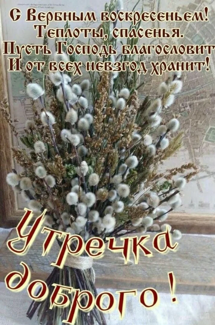Card image 1