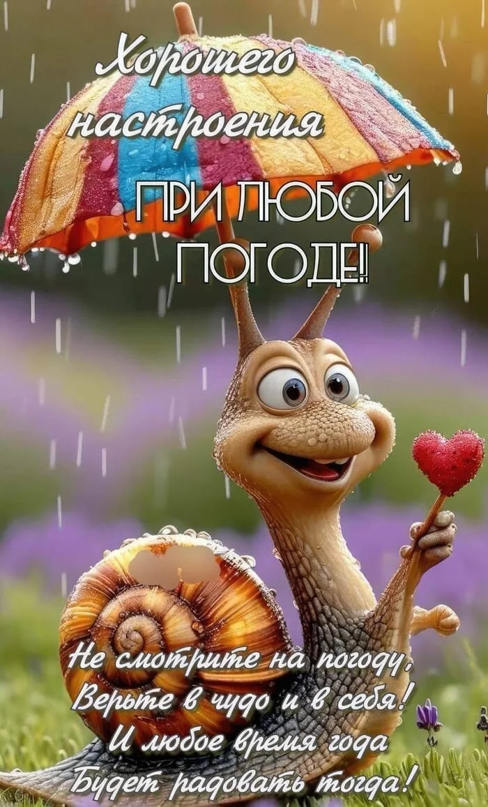 Card image 1