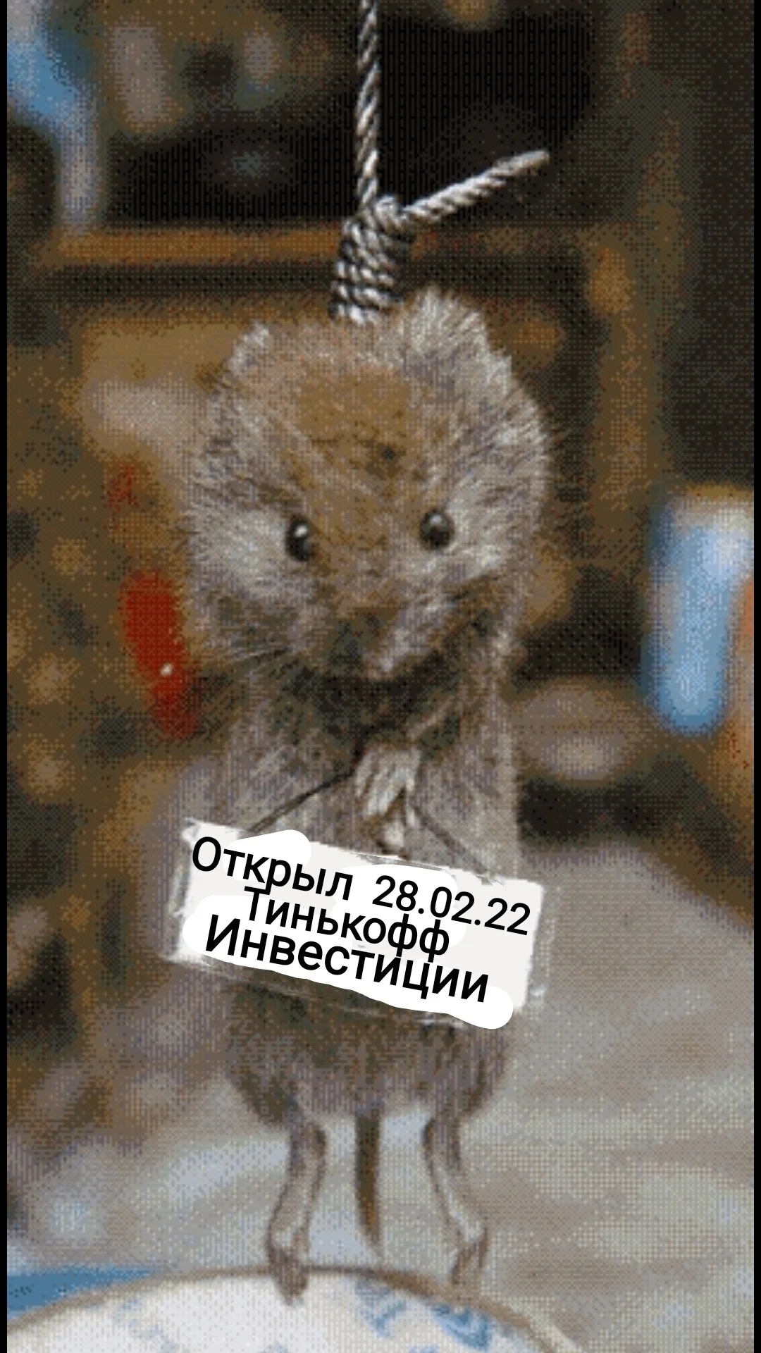 Card image 1